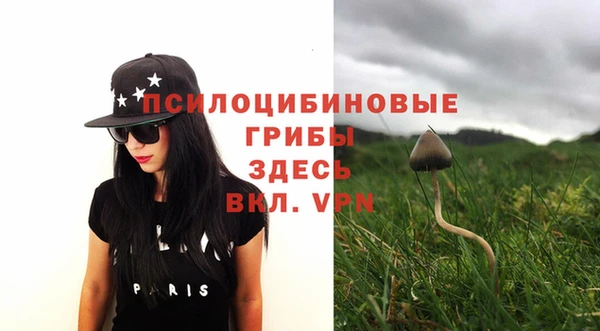 твердый Балахна