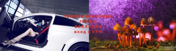 твердый Балахна