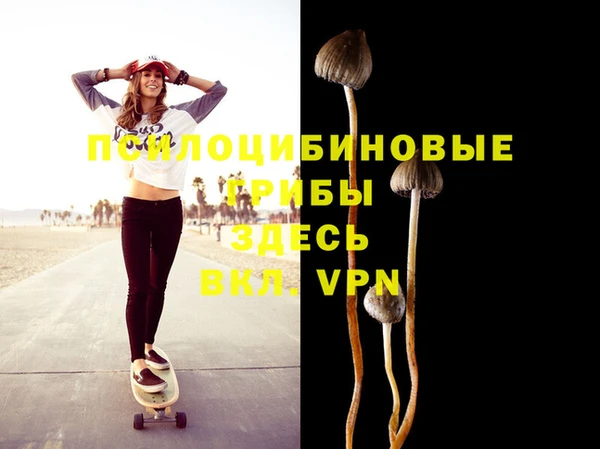 PSILOCYBIN Балабаново