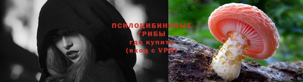 твердый Балахна